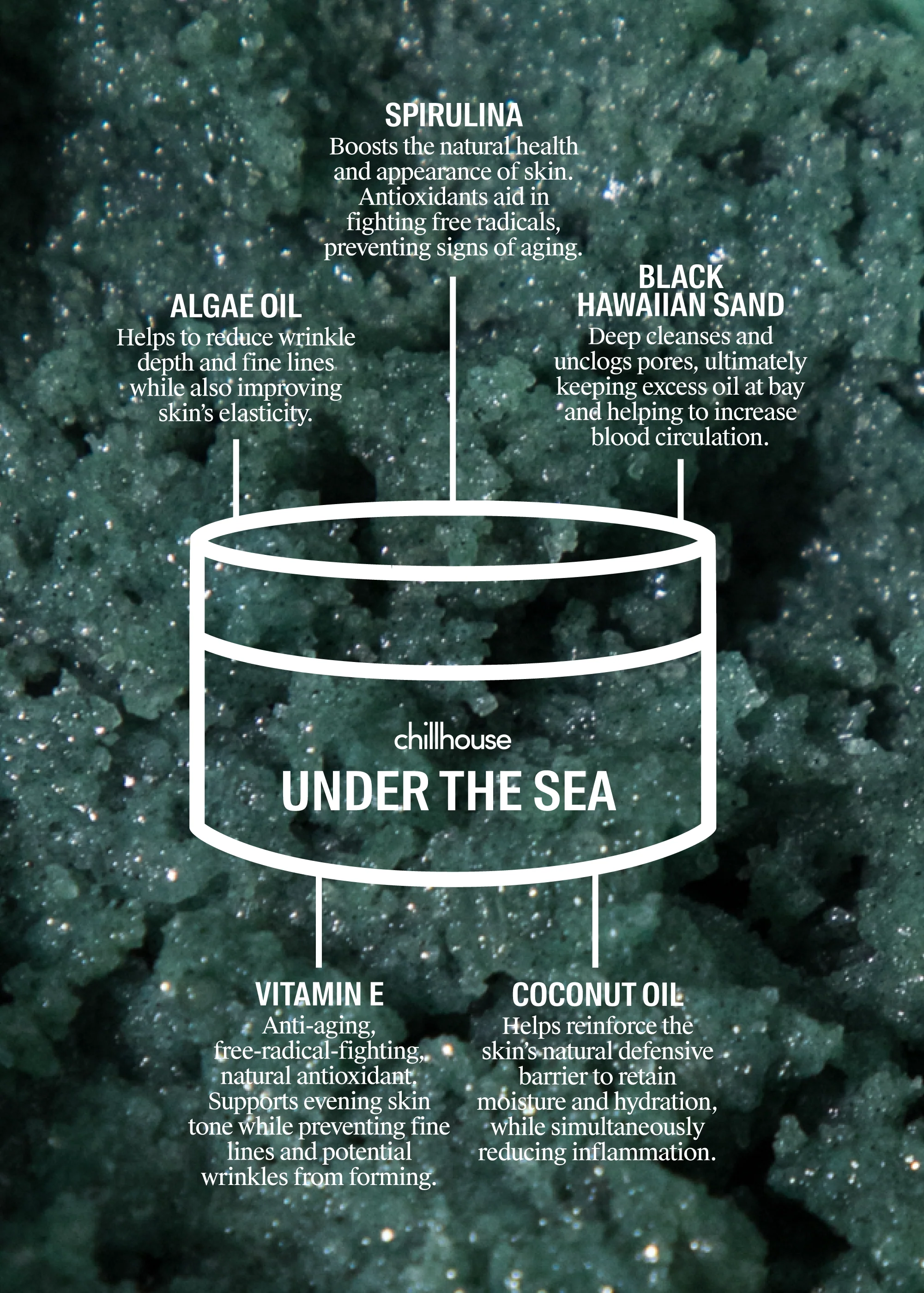 UNDER THE SEA - Image 3